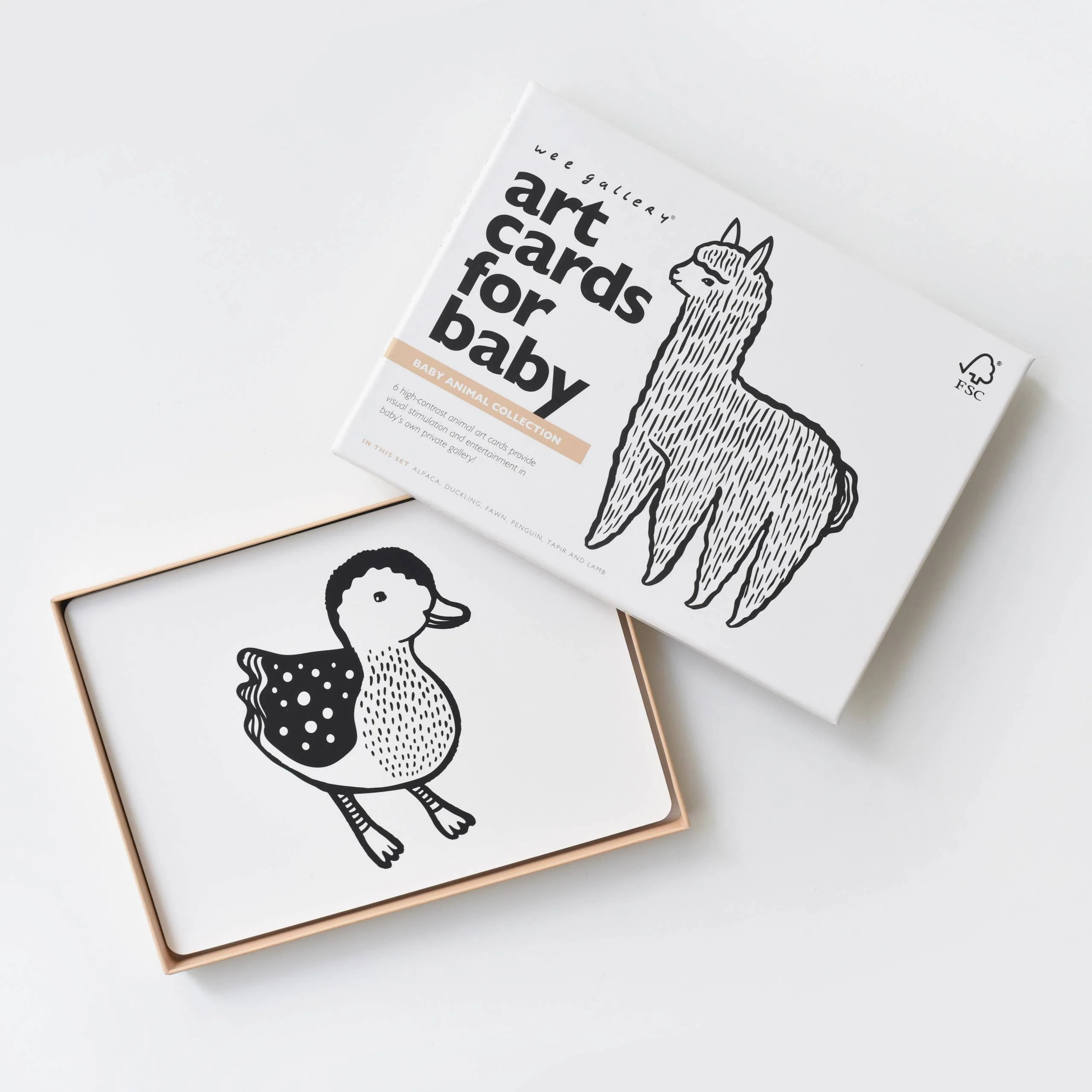 New Baby Essentials